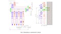 rozdzielacz-z-rotametrami-3-sekcyjny-prawtech-rysunek-techniczny-wymiary