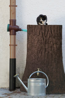 dekoracyjny zbiornik na deszczówkę, dekoracyjny zbiornik na wodę deszczową, zbiornik na deszczówkę dekoracyjny, zbiornik na wodę deszczową dekoracyjny, ozdobny zbiornik na deszczówkę, ozdobny zbiornik na wodę deszczową, zbiornik na deszczówkę 250 l, zbiornik na deszczówkę 250 l, zbiornik na deszczówkę drzewo, pień , zbiornik na deszczówkę little tree